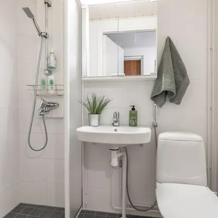 Tunnelmallinen Kaksio